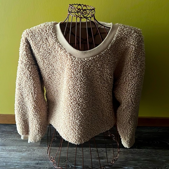 wild fable Sweaters - Wild Fable Crop Top